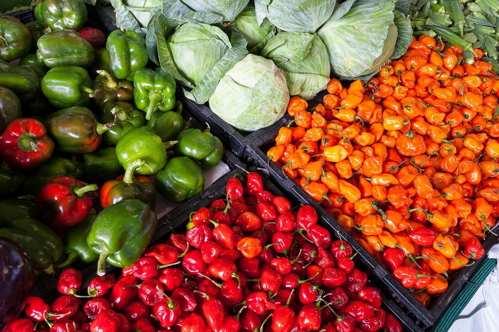 Home A vibrant display of fresh vegetables including peppers and cabbage at an outdoor market.
