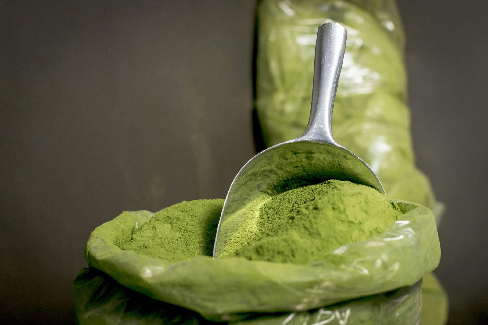 Home Close-up of fresh moringa powder in a stainless steel scoop, highlighting its vibrant green color.